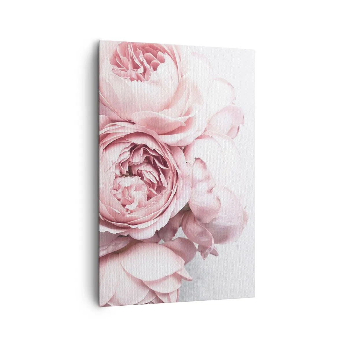 Impression sur toile - Image sur toile - Pivoines roses dans une lumière douce sur un fond clair - 80x120cm - Pour les romantiques - Décoration murale moderne pour le salon et la chambre ARTTOR