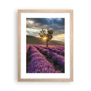 Affiche dans un chêne clair - Poster - Arôme de couleur lilas - 30x40 cm