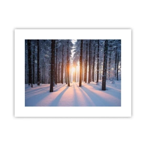 Affiche - Poster - Clairement en noir et blanc - 40x30 cm