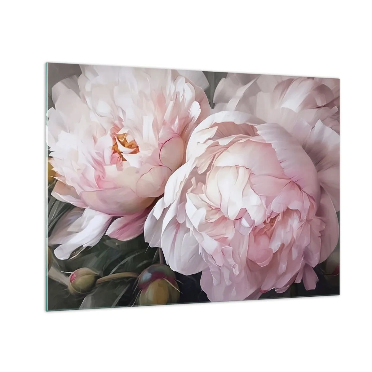Impression sur verre - Image sur verre - Pivoines délicates dans une teinte rose clair en gros plan - 70x50cm - Arrêté en pleine floraison - Décoration murale moderne pour le salon et la chambre ARTTOR