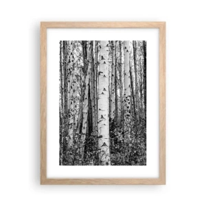 Affiche dans un chêne clair - Poster - Enchevêtrement de bouleau - 30x40 cm