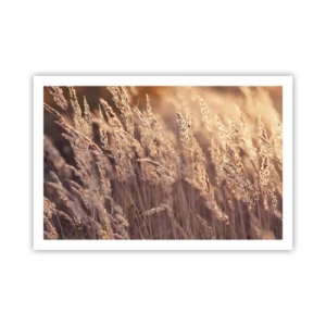 Affiche - Poster - Prêt à accueillir l'automne - 91x61 cm