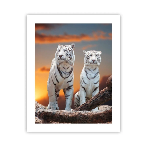 Affiche - Poster - Tout comme à Narnia - 40x50 cm