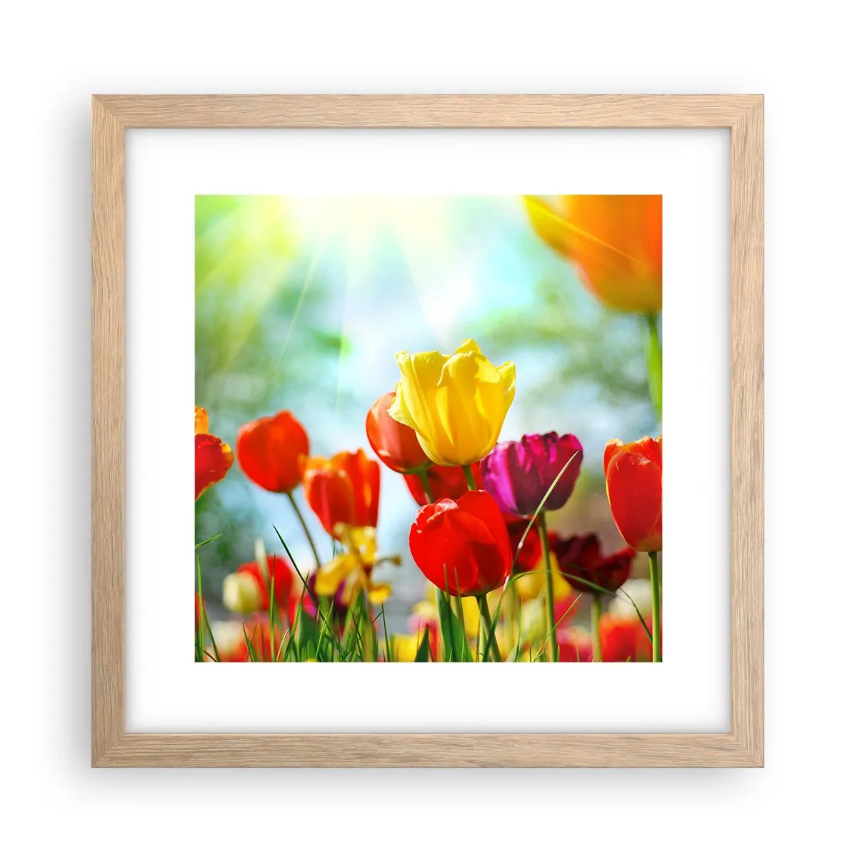 Affiche dans un chêne clair - Poster - Toutes les couleurs du soleil - 30x30 cm