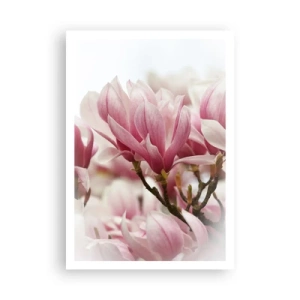 Affiche - Poster - Fleurs de printemps - 70x100 cm