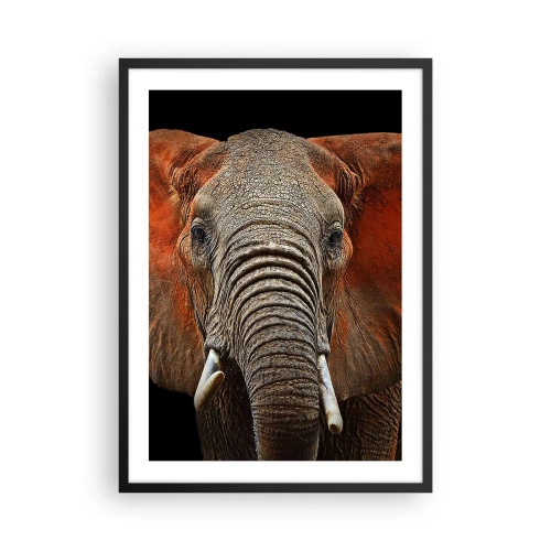 Affiche dans un cadre noir - Poster - Portrait d'un éléphant majestueux sur fond noir - 50x70cm - Je suis sauvage, et toi? - Décoration murale moderne pour le salon et la chambre ARTTOR