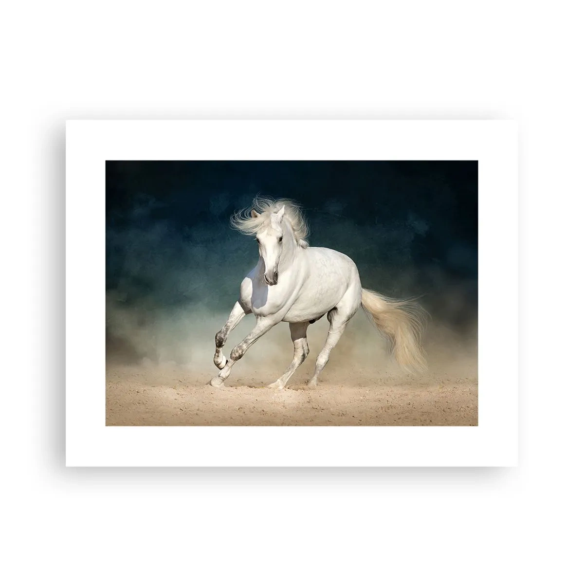 Affiche - Poster - La liberté à l'état pur - 40x30 cm