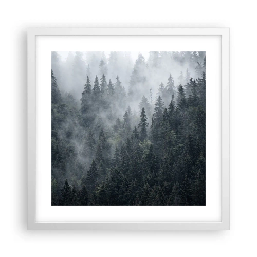 Affiche dans un cadre blanc - Poster - Aube de la forêt - 40x40 cm