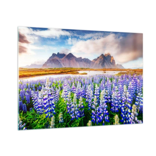 Impression sur verre - Image sur verre - Un paysage de montagne avec une prairie fleurie et des sommets majestueux - 100x70cm - La force et l'austérité côtoient la douceur - Décoration murale moderne pour le salon et la chambre ARTTOR