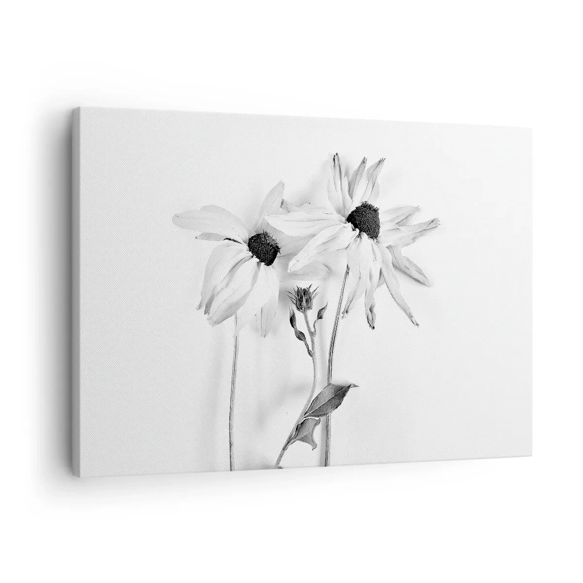 Impression sur toile - Image sur toile - Fleurs noires et blanches avec une composition subtile - 70x50cm - Personne ne souhaite être seul - Décoration murale moderne pour le salon et la chambre ARTTOR
