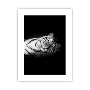 Affiche - Poster - Sauvagerie et paix - 30x40 cm