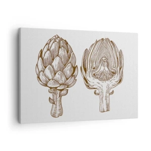 Impression sur toile - Image sur toile - Dessin d'art vintage d'un artichaut - 70x50cm - Leçon d’anatomie - Décoration murale moderne pour le salon et la chambre ARTTOR