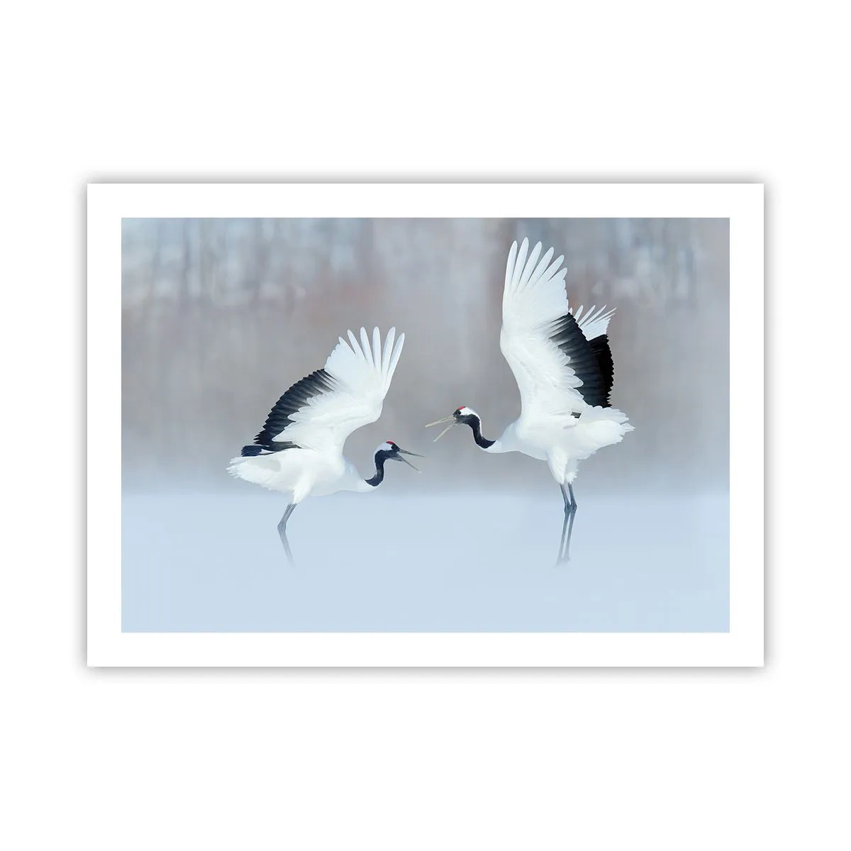 Affiche - Poster - Danse dans le brouillard - 70x50 cm