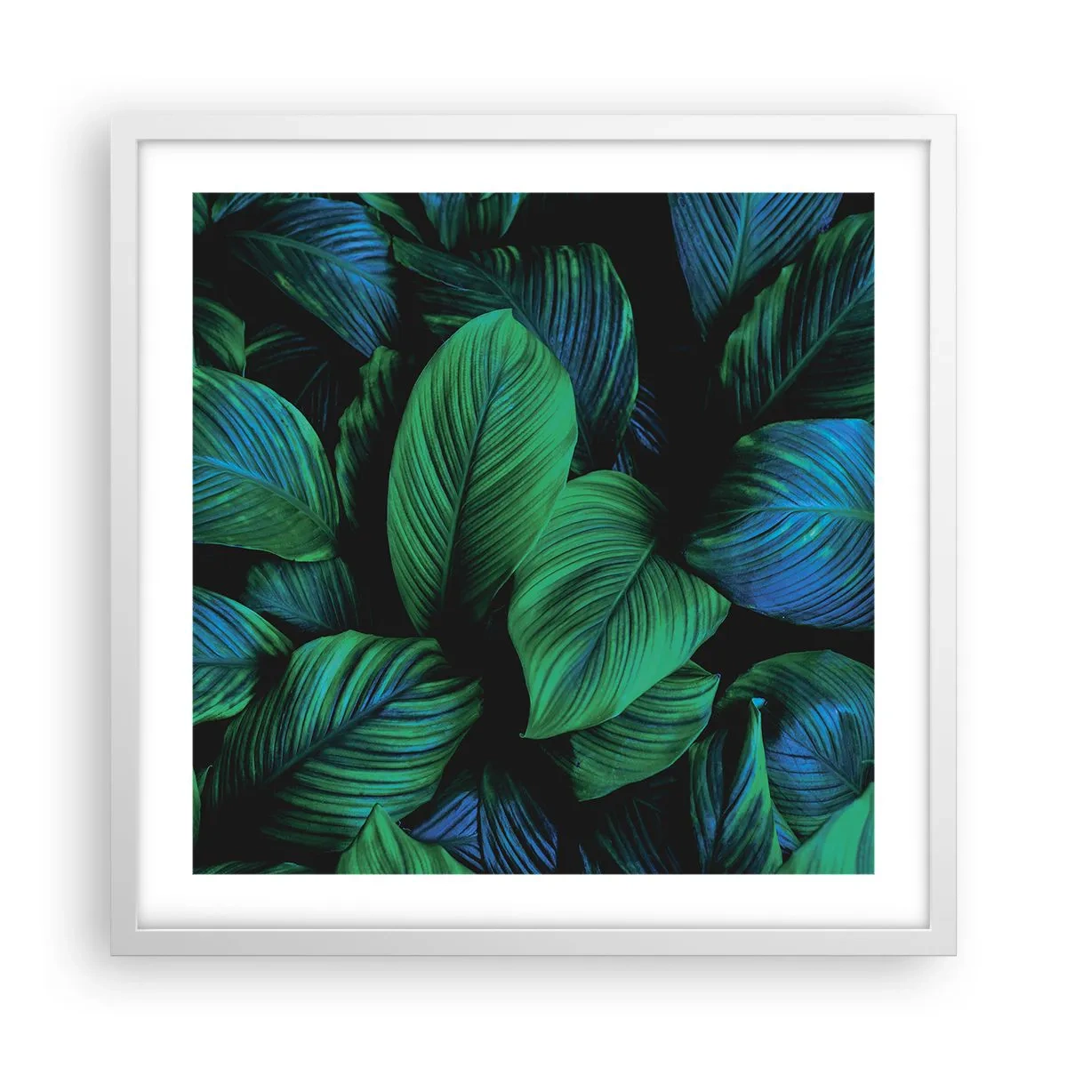 Affiche dans un cadre blanc - Poster - Dans la foule verte - 50x50 cm