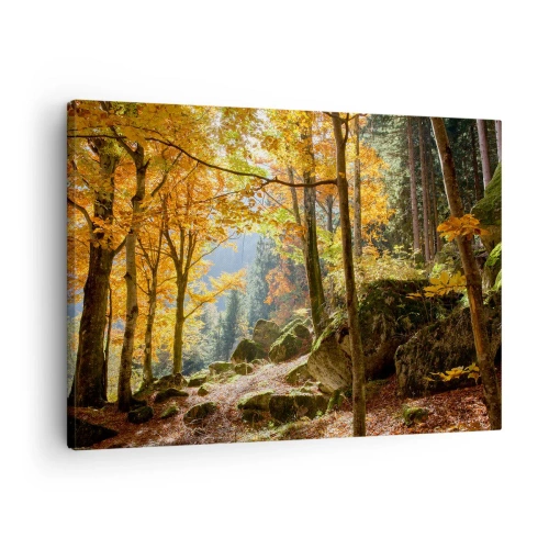 Impression sur toile - Image sur toile - Une forêt d'automne pleine de feuilles dorées et de soleil - 70x50cm - Il est temps de se détendre - Décoration murale moderne pour le salon et la chambre ARTTOR