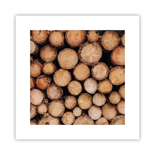 Affiche - Poster - Nouveau commencement - 30x30 cm