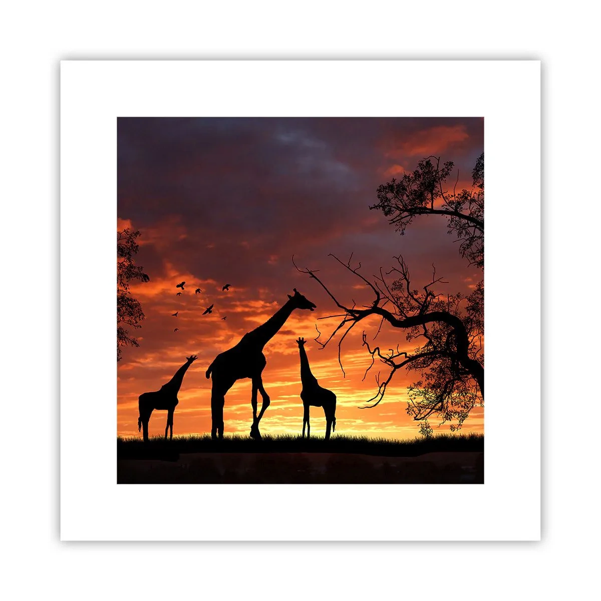 Affiche - Poster - Un petit dîner avec vos proches - 30x30 cm