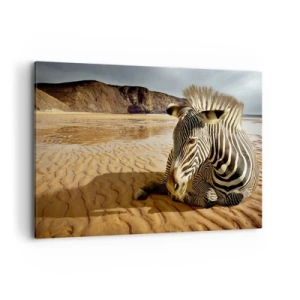 Impression sur toile - Image sur toile - Un zèbre se reposant sur une plage de sable avec des falaises en arrière-plan. - 100x70cm - On va bien ensemble - Décoration murale moderne pour le salon et la chambre ARTTOR