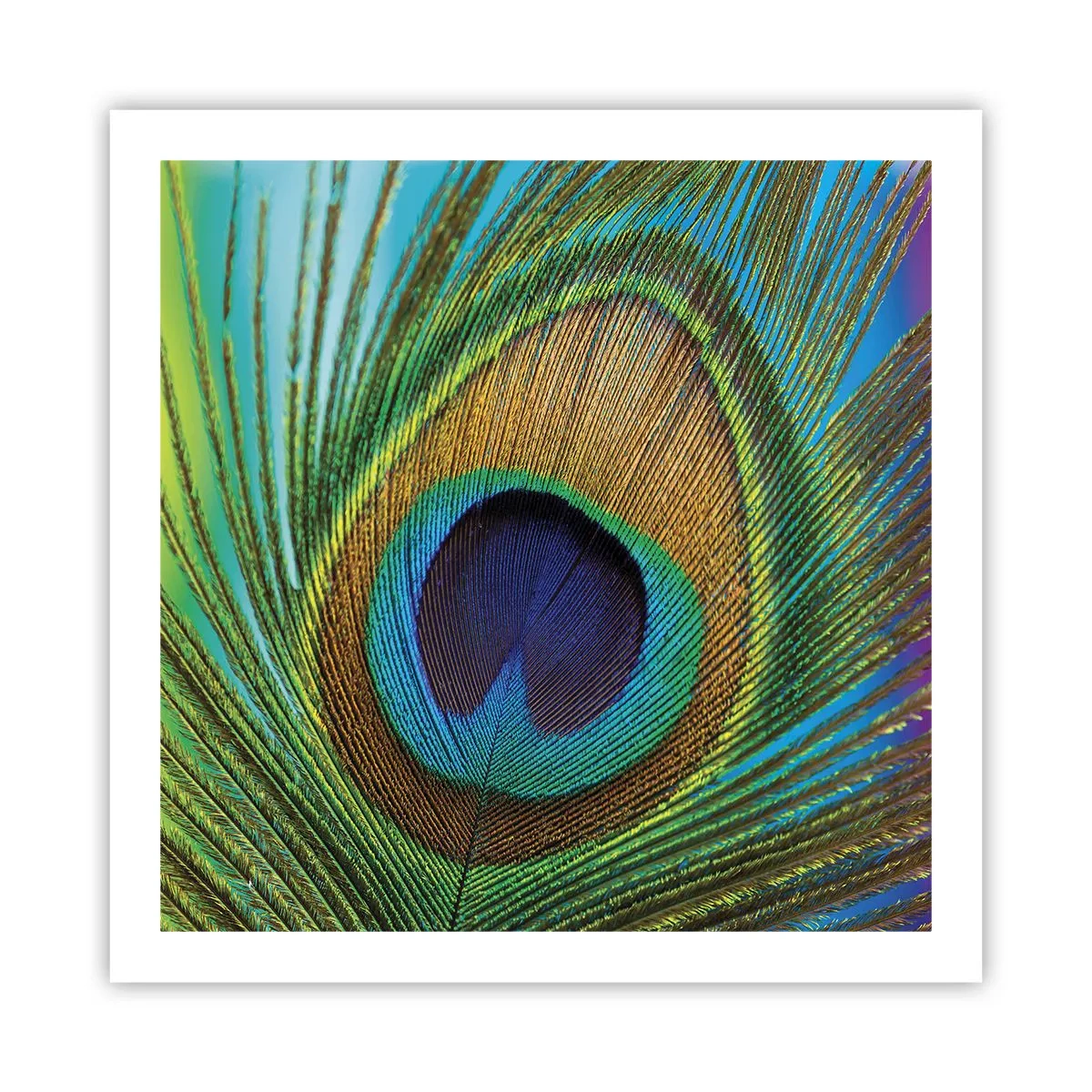 Affiche - Poster - Les yeux dans les yeux - 60x60 cm