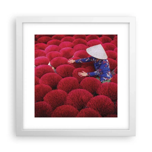 Affiche dans un cadre blanc - Poster - Dans un champ de riz - 30x30 cm