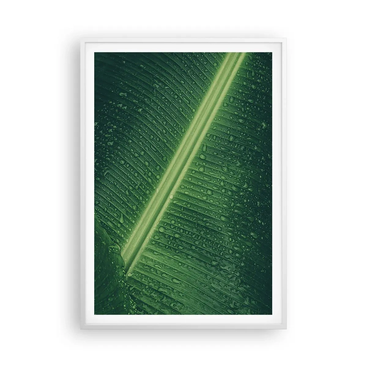 Affiche dans un cadre blanc - Poster - Structure de vert - 70x100 cm
