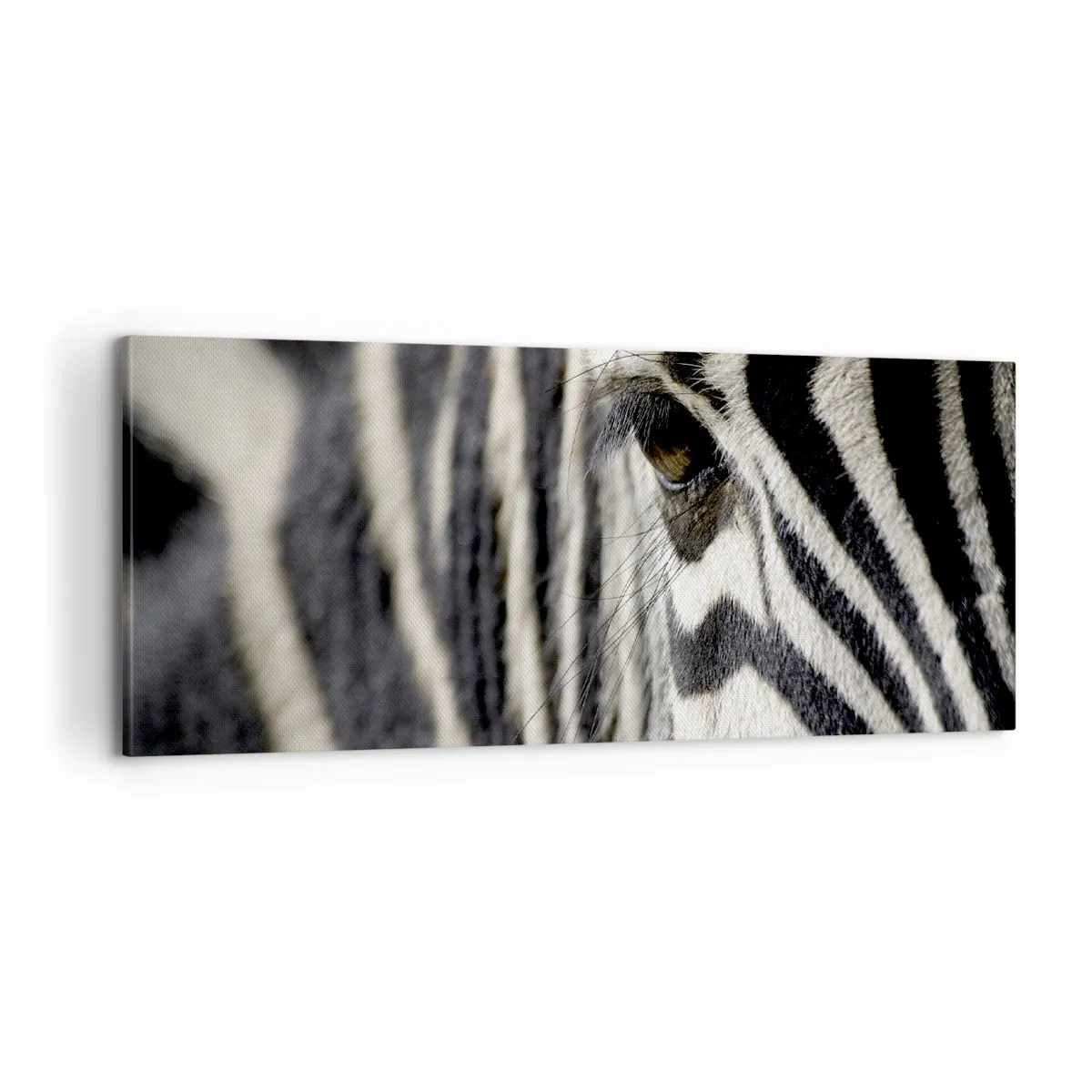 Impression sur toile - Image sur toile - Portrait en rayure - 100x40 cm