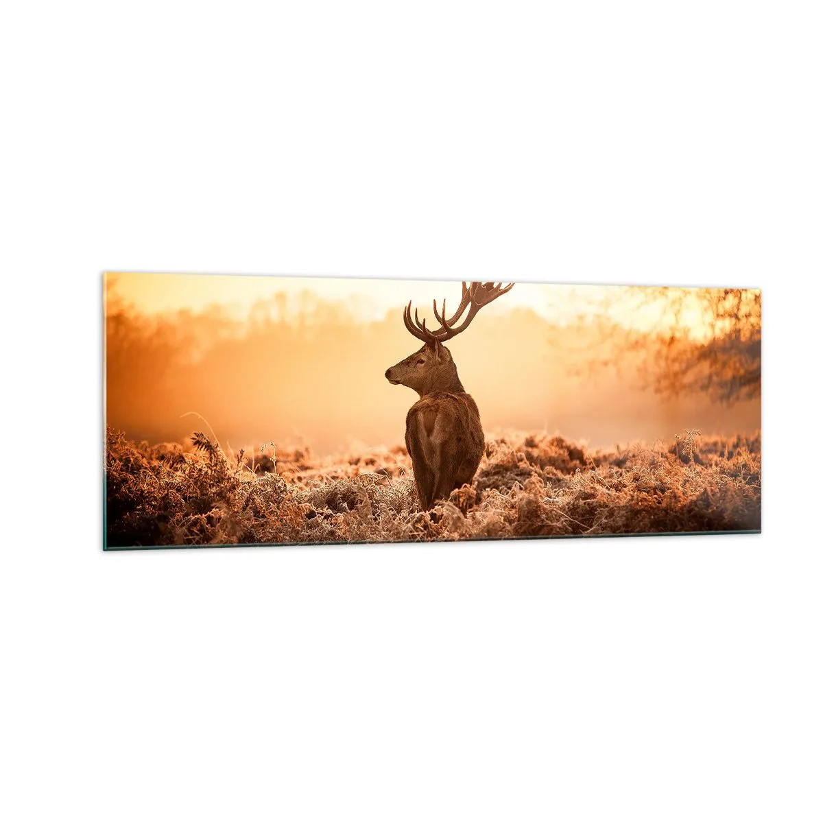 Impression sur verre - Image sur verre - Cerf dans les rayons du soleil levant - 140x50cm - Seigneur du domaine - Décoration murale moderne pour le salon et la chambre ARTTOR