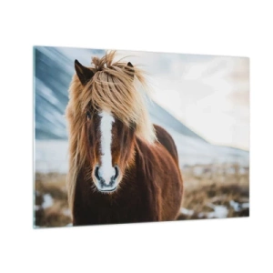 Impression sur verre - Image sur verre - Un cheval dans un paysage de montagne en hiver - 70x50cm - Sentez-vous la liberté ? - Décoration murale moderne pour le salon et la chambre ARTTOR