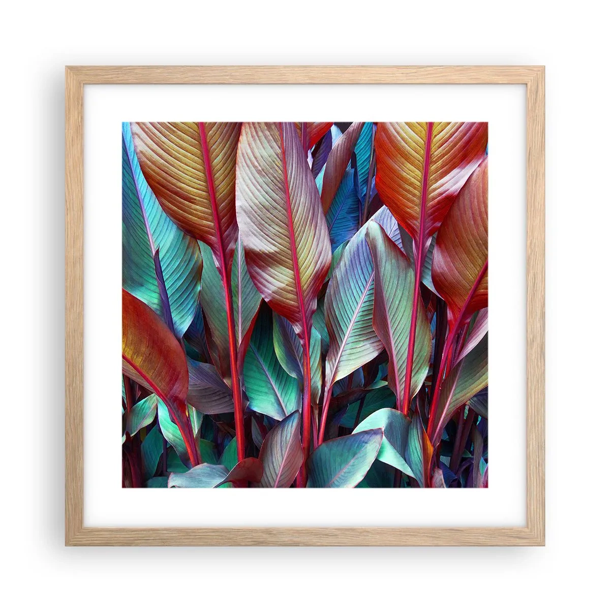 Affiche dans un chêne clair - Poster - Un fourré coloré - 40x40 cm