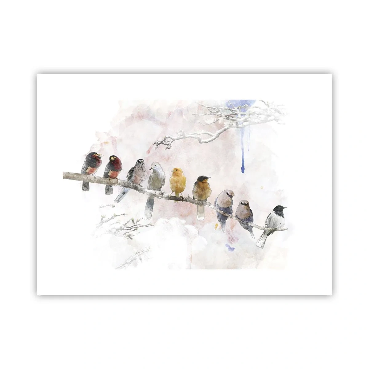 Affiche - Poster - Rencontre ailée - 40x30 cm