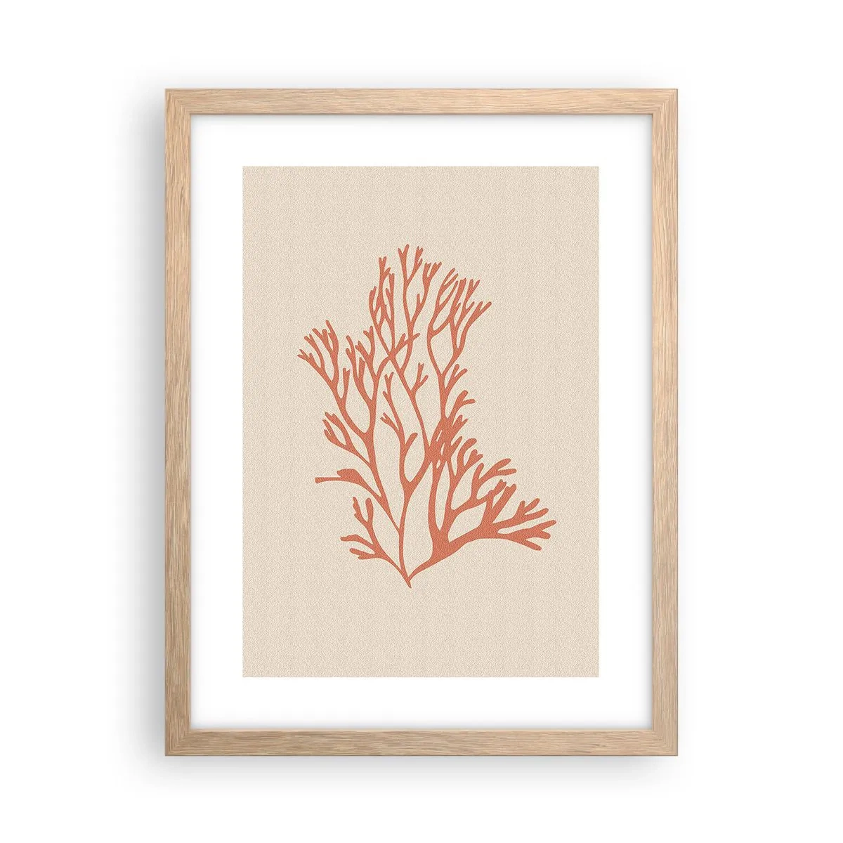 Affiche dans un chêne clair - Poster - Filigrane de corail - 30x40 cm