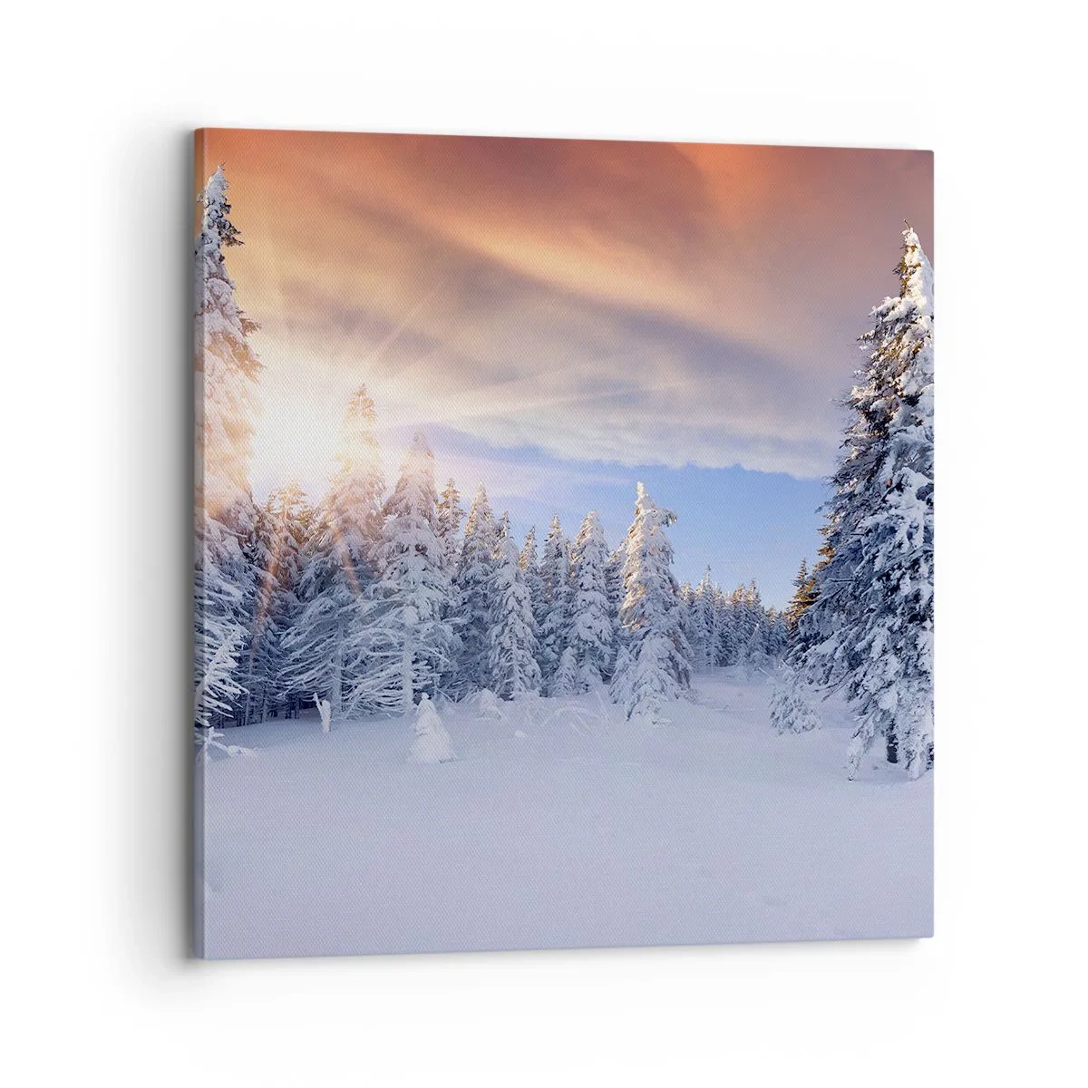 Impression sur toile - Image sur toile - Un spectacle enneigé de la nature - 70x70 cm