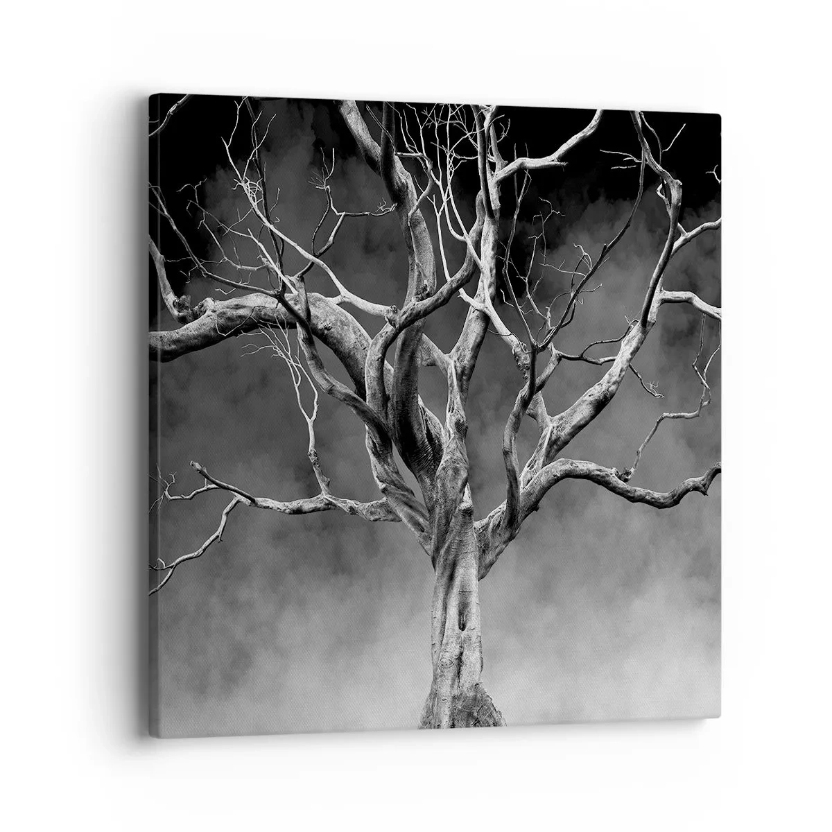 Impression sur toile - Image sur toile - Primordial et sacré - 40x40 cm