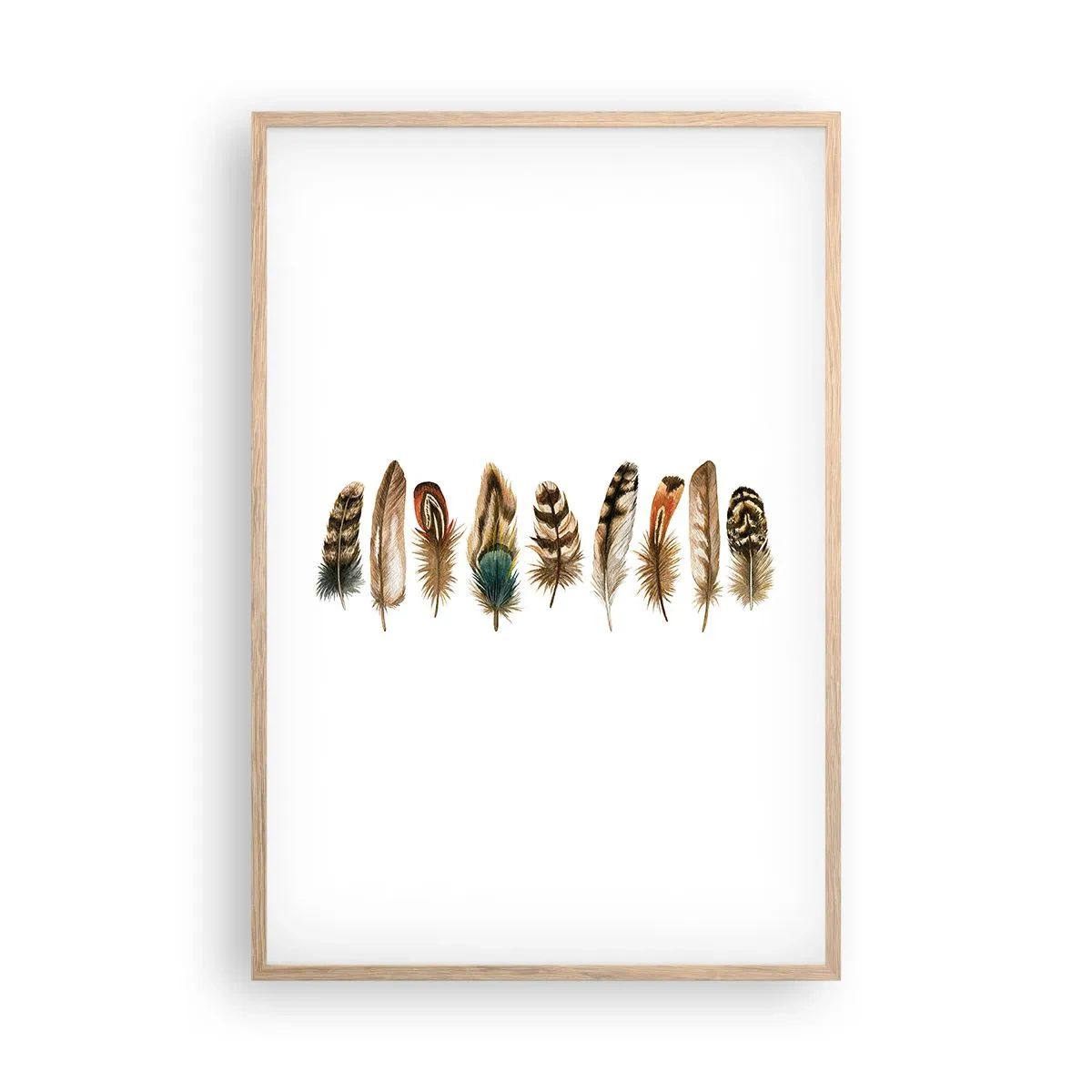 Affiche dans un chêne clair - Poster - Variation à plumes - 61x91 cm