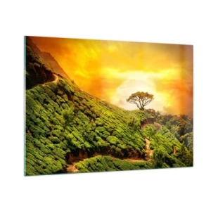 Impression sur verre - Image sur verre - Collines verdoyantes avec un arbre solitaire au coucher du soleil - 100x70cm - Un chemin sinueux, une pente verte - Décoration murale moderne pour le salon et la chambre ARTTOR