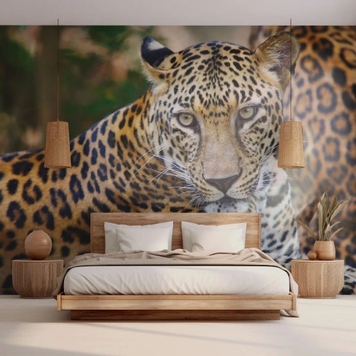 Papier Peint Photo Premium Canvas - Jaguar au repos dans un environnement naturel avec un fond vert. - 100x70cm - Sauvage et calme - Décoration murale moderne pour le salon et la chambre ARTTOR