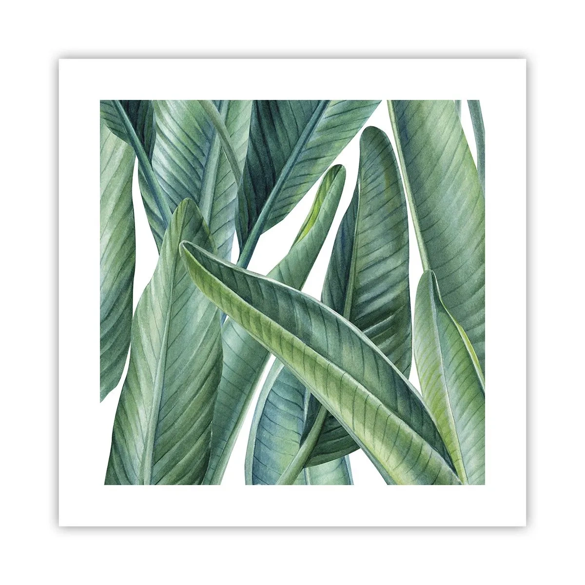 Affiche - Poster - La nature face à elle-même - 40x40 cm