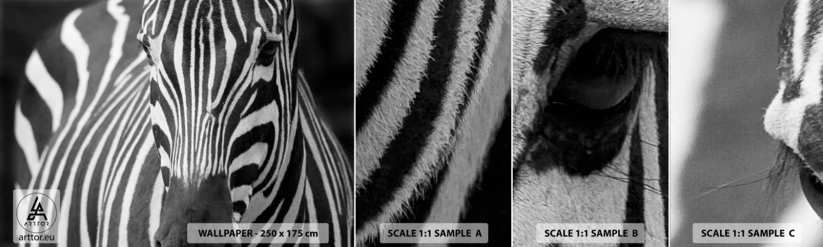 Échantillon De Papier Peint Standard Eco - Le monde est noir et blanc - Animaux, Côtes, Noir et blanc - 100x30 cm