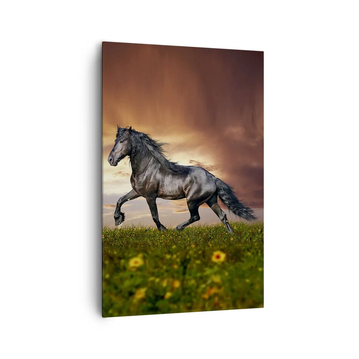 Impression sur toile - Image sur toile - Un cheval noir galopant contre le soleil couchant - 80x120cm - Livres noirs - Décoration murale moderne pour le salon et la chambre ARTTOR