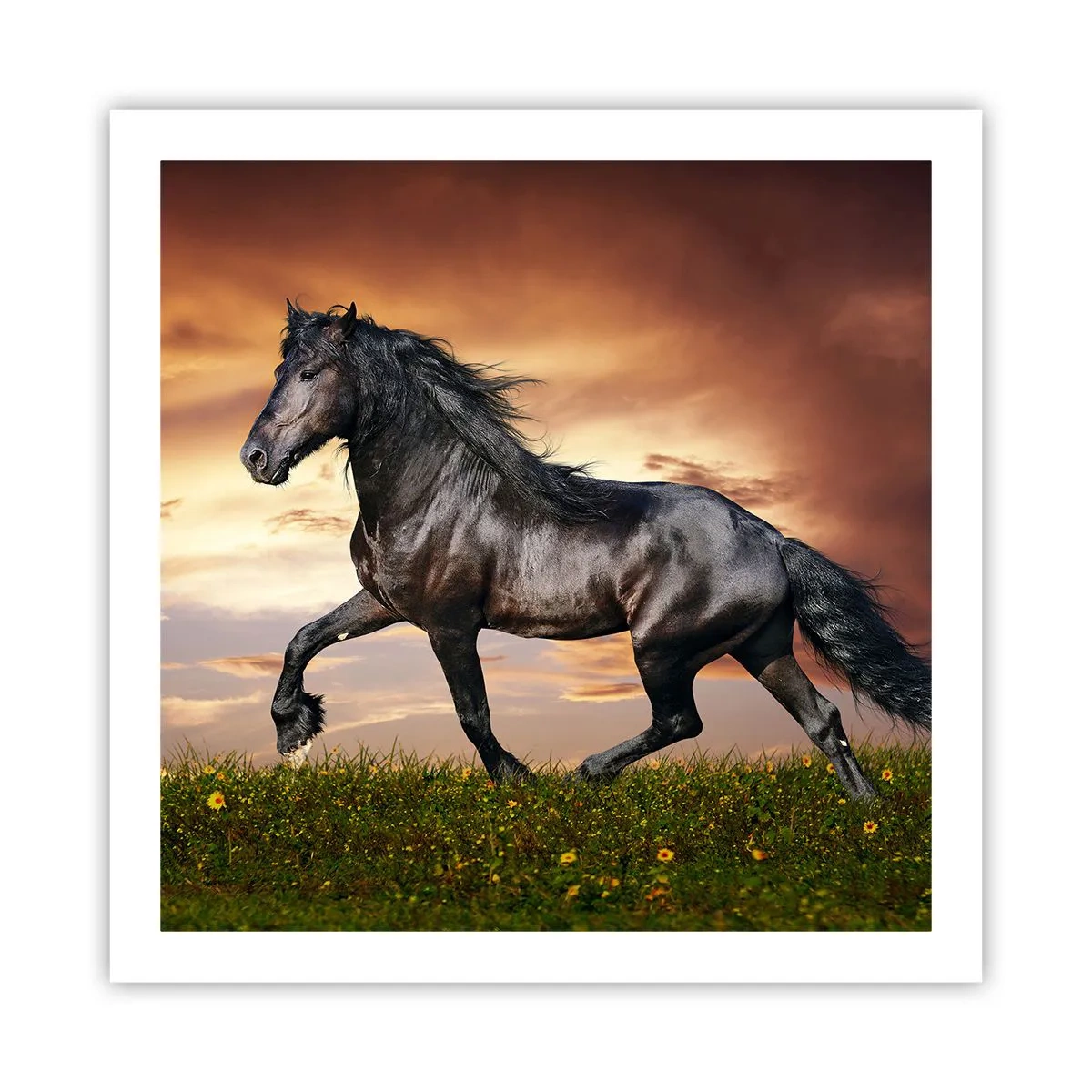 Affiche - Poster - Livres noirs - 60x60 cm