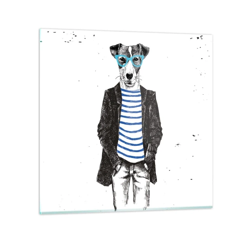 Impression sur verre - Image sur verre - Un charme de chien - 70x70 cm