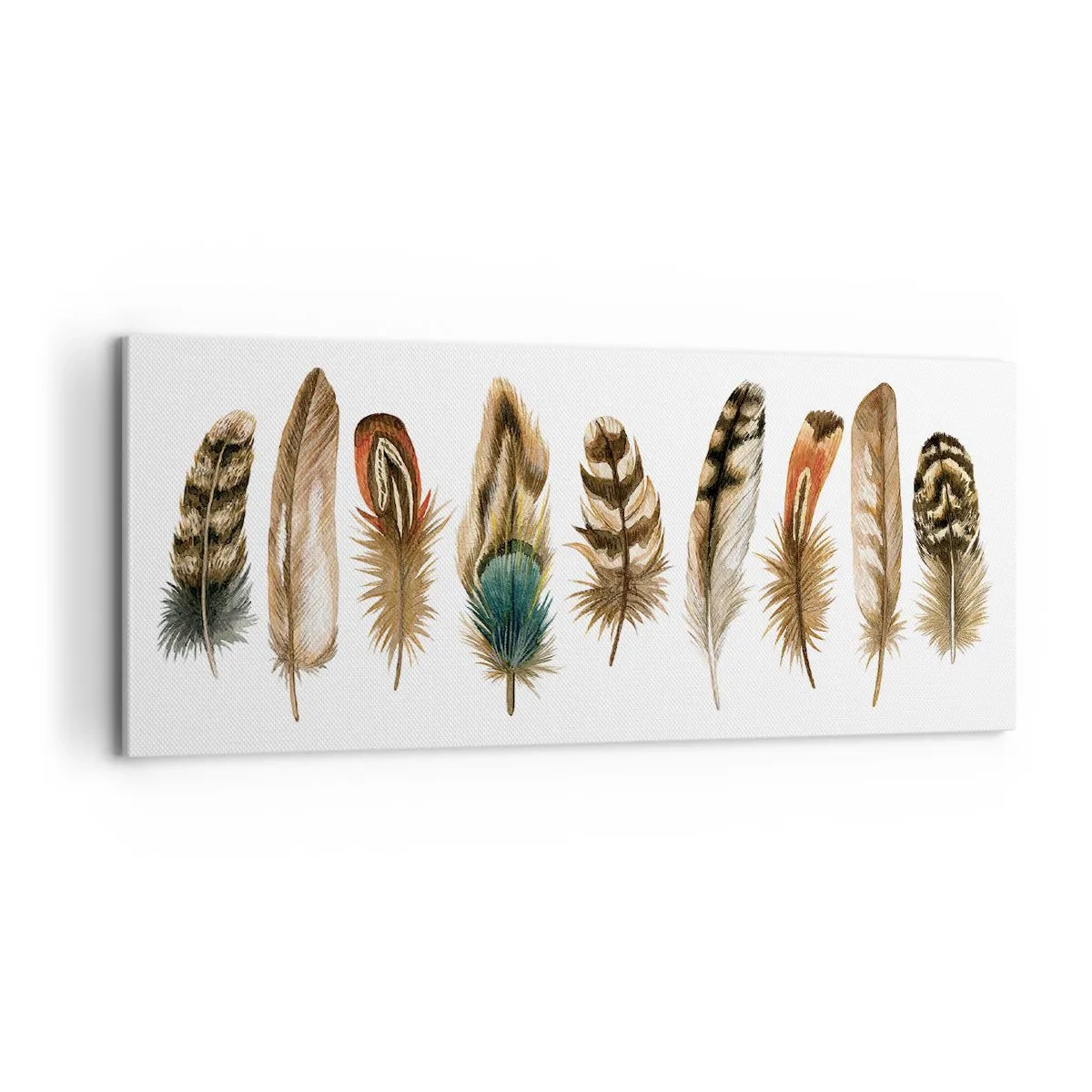 Impression sur toile - Image sur toile - Variation à plumes - 100x40 cm