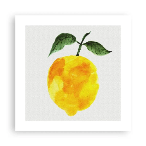 Affiche - Poster - Comment reconnaitre le goût du soleil - 40x40 cm