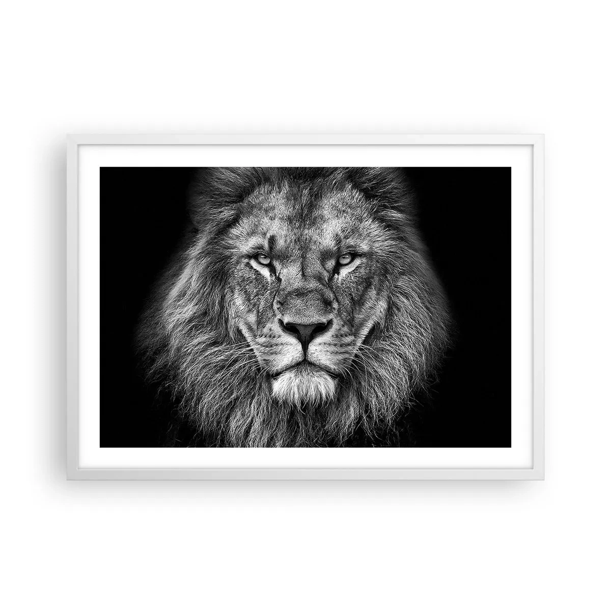 Affiche dans un cadre blanc - Poster - En vêtement de sacre - 70x50 cm