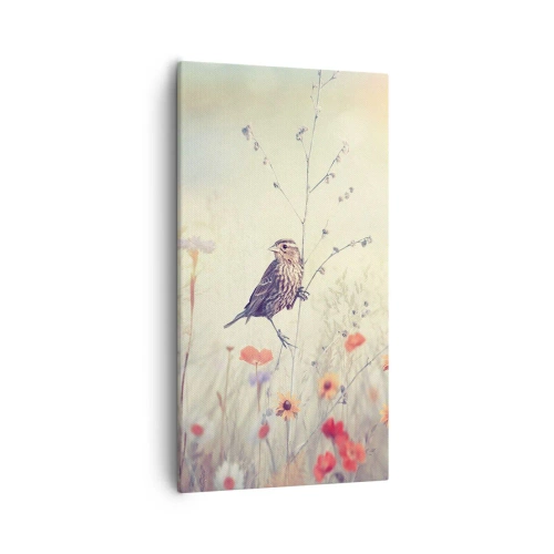 Impression sur toile - Image sur toile - Portrait d'oiseau sur pré en fond - 55x100 cm