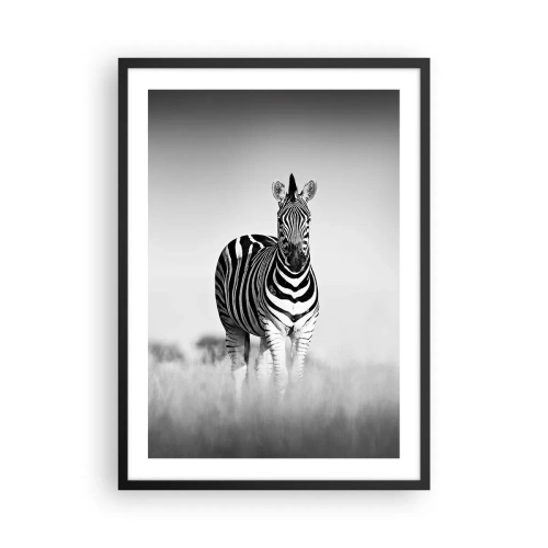 Affiche dans un cadre noir - Poster - Un zèbre dans une composition en noir et blanc dans la savane - 50x70cm - Le monde est bel et bien noir et blanc - Décoration murale moderne pour le salon et la chambre ARTTOR