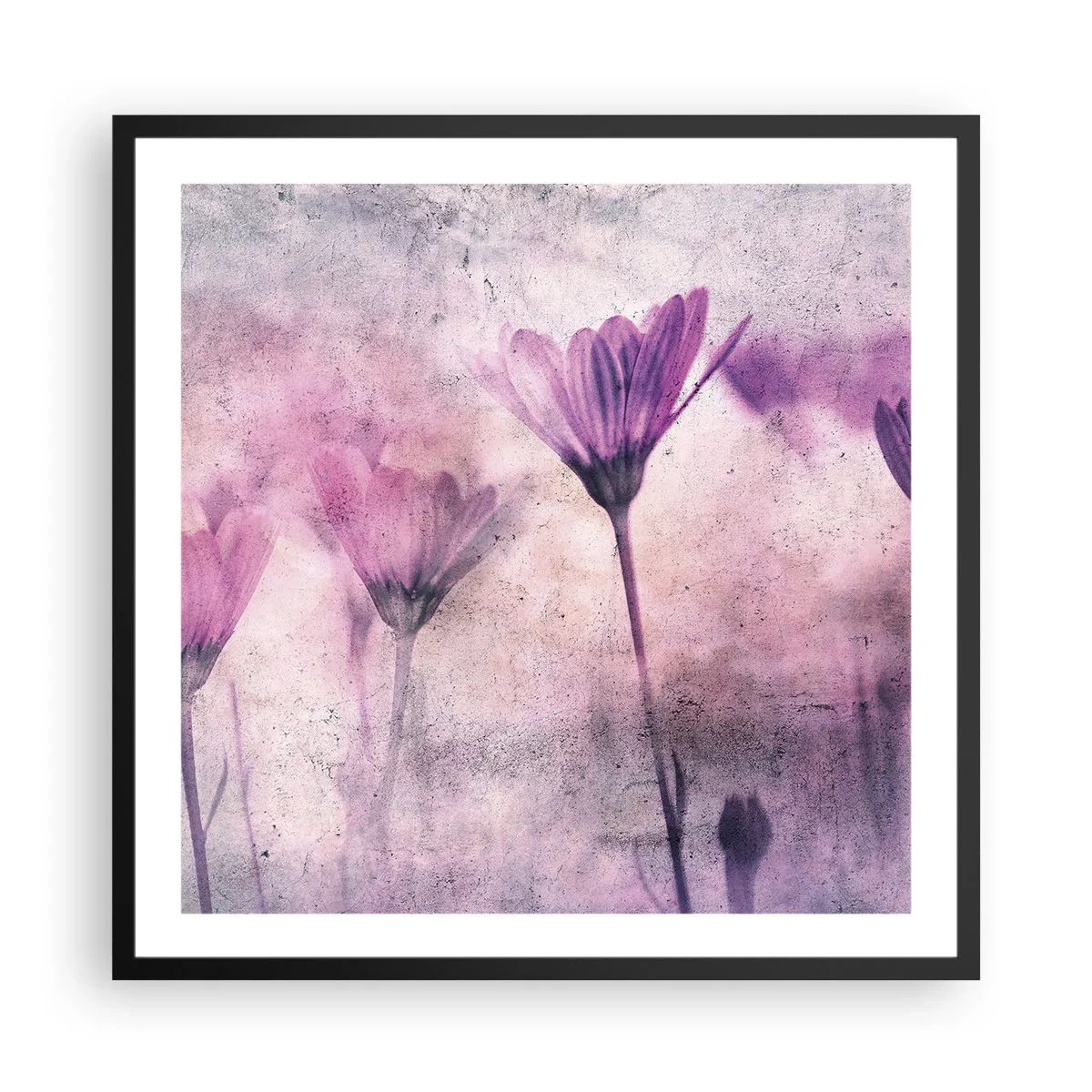 Affiche dans un cadre noir - Poster - Rêve de fleurs - 60x60 cm