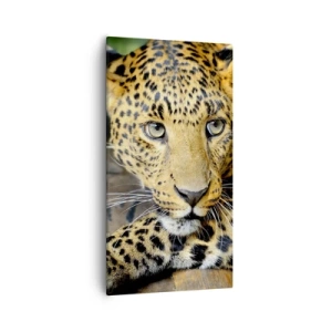 Impression sur toile - Image sur toile - N'aie pas peur, viens - 55x100 cm