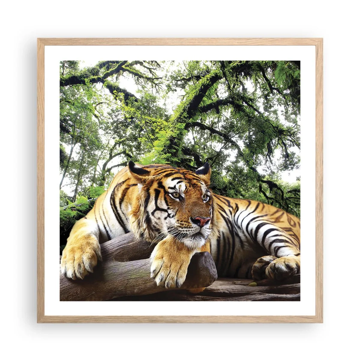 Affiche dans un chêne clair - Poster - Cordialement - 60x60 cm