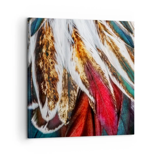 Impression sur toile - Image sur toile - Secrets de vol - 50x50 cm